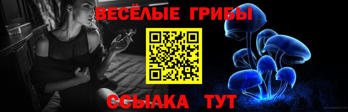 Псилоцибиновые грибы GOLDEN TEACHER Горячий Ключ